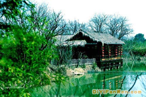 西溪濕地公園圖片