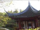 大觀園