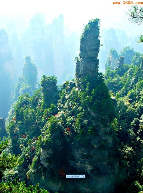 張家界天門山風景圖片