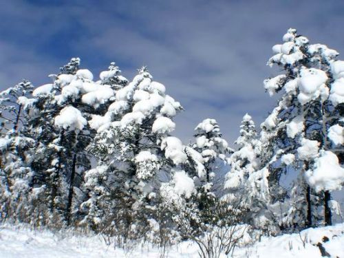 西嶺雪山圖片