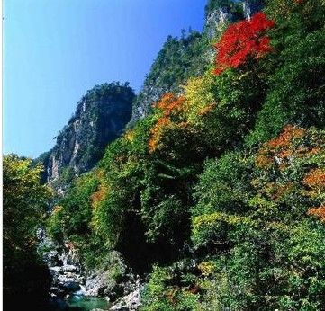 神農架天燕原始生態旅遊區圖片