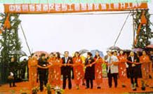 中遠國際城圖片
