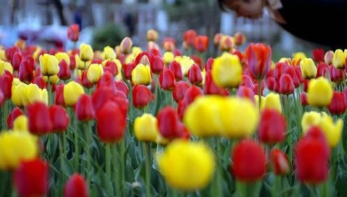 西寧人民公園圖片