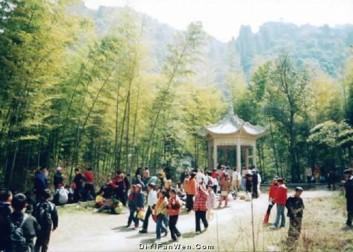 馬仁奇峰森林旅遊區圖片