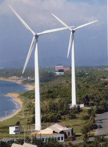 仙人島森林公園圖片