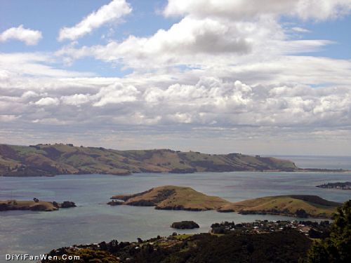 紐西蘭南島圖片