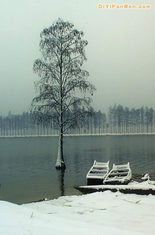 武漢東湖2008的雪圖片