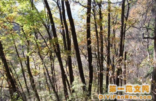 湖北伏龍山圖片