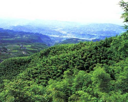 四川石海洞鄉圖片