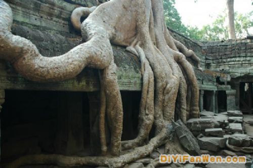 高棉神秘的塔布隆寺圖片