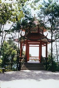 南山植物園圖片