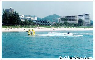 大東海圖片