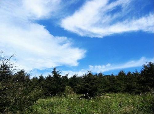 北京白草畔風光圖片