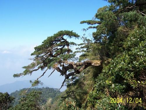 五指山風景區圖片