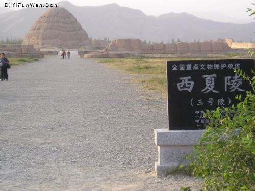 西夏王陵圖片