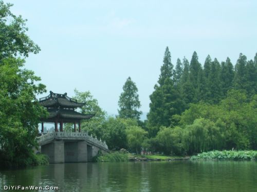 曲院風荷美景圖片