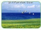 賽里木湖
