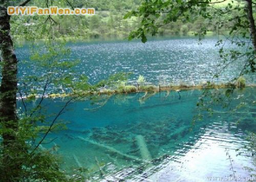 四川火花海圖片