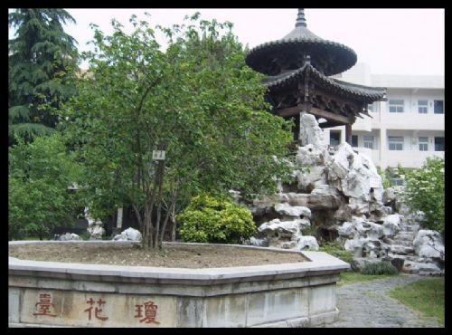 江蘇瓊花觀圖片