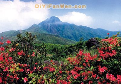 姑婆山國家森林公園圖片