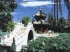 古蓮花池