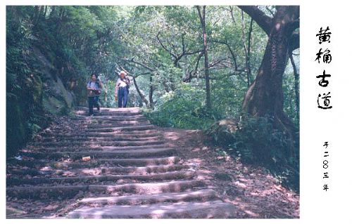 南山古道圖片