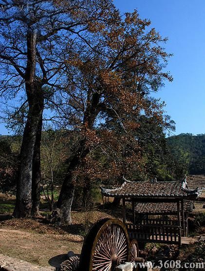 福建培田民居圖片