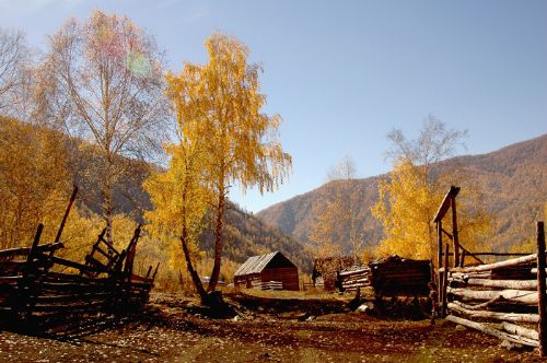 禾木—北疆額爾濟斯圖片